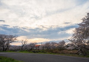 SBJ07658