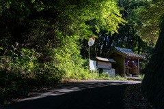 DSC07302