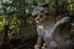 DSC08087
