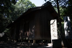 DSC08091