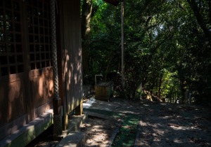 DSC08094