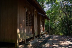 DSC08095