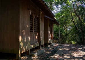 DSC08095