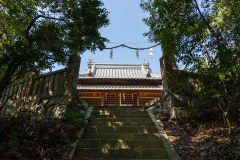 DSC08102