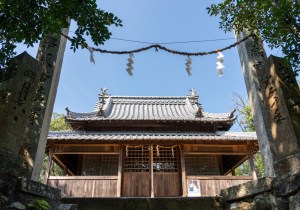 DSC08105