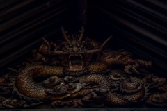 DSC08120