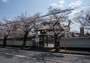SBJ05033