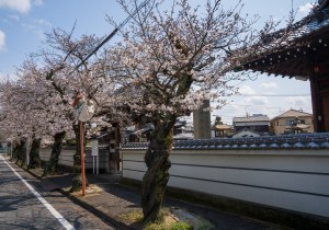 SBJ05040