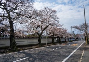 SBJ05053