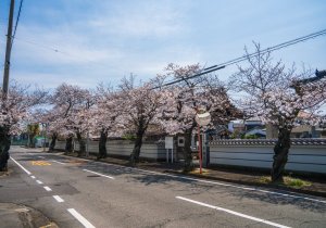 SBJ05501