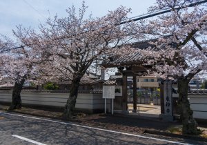 SBJ05502