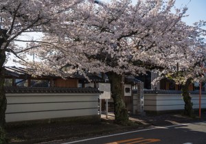 SBJ07132