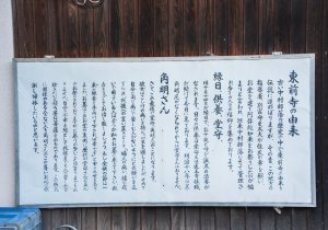 SBJ07913