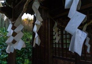 DSC00838