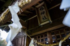DSC00840
