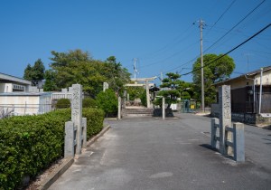 DSC08293
