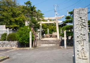 DSC08294
