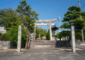 DSC08295