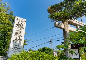 DSC08297
