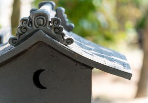 DSC08336