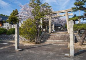 SBJ08043