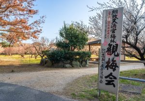 SBJ02579