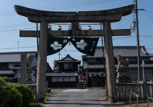 SBJ00914