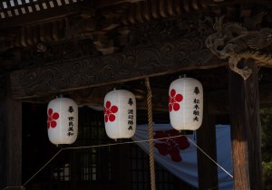 SBJ00917