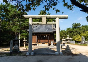 SBJ07113