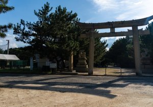 SBJ07123