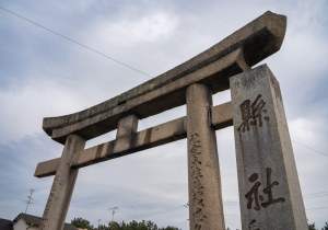 SBJ02923