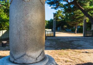 SBJ06712