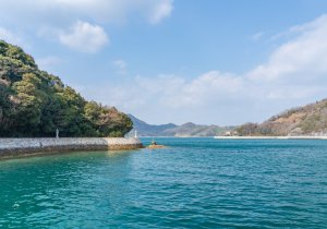 SBJ01165