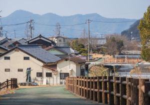 SBJ01262
