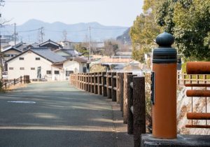 SBJ01263