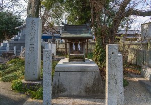 SBJ00733