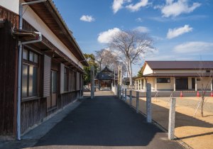 SBJ00816
