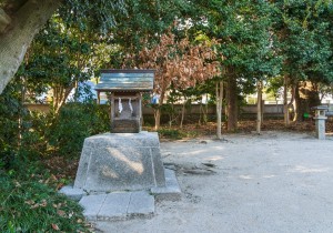 SBJ00883