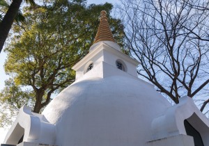 SBJ07778