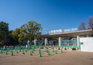 SBJ07588