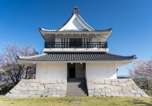 SBJ07060