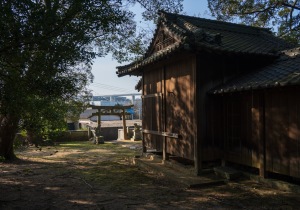 SBJ06429