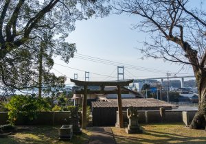 SBJ06435