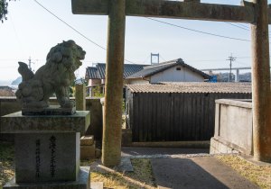 SBJ06443