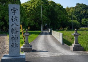 DSC04504