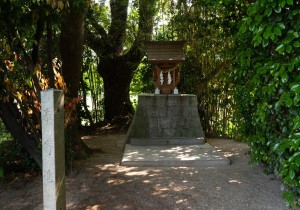 DSC04510