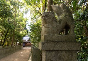 DSC04522
