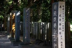 DSC04541