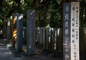 DSC04541