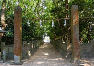 DSC04548